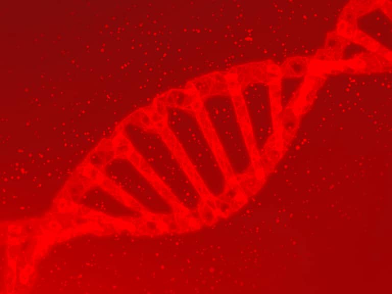 PBM Cell DNA expression